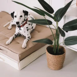 Coussin De Sol Ou D'assise Matelassé Polyester Taupe 120 X 80 X 12cm -Pas Cher Jardinoa Magasin 478dc3b17587d729