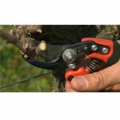 Sécateur A Une Main Acier Trempé Bahco Ergo Pro Poignée Fixe Taille M -Pas Cher Jardinoa Magasin 63584aebc37d01.58709092