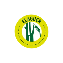 Pack Tronçonneuse Sans Fil Manche Télescopique + Lot De 2 Chaînes-vert -Pas Cher Jardinoa Magasin 6363b0da3561f2.32853623