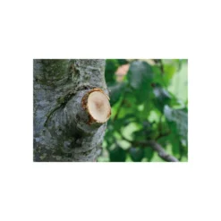 Coupe-branches à Enclume Smartcut Comfort Gardena -Pas Cher Jardinoa Magasin 641da670d3f468.10738563