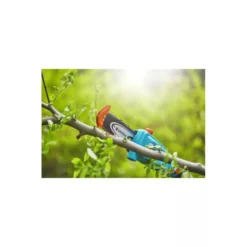 Gardena Elagueuse Sur Perche Tcs 20/18v P4a Avec Batterie -Pas Cher Jardinoa Magasin 641da6793705b1.97358156