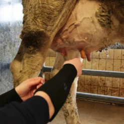 Paire De Manchettes De Protection En Néoprène - Xl -Pas Cher Jardinoa Magasin 6453a78fdfa3e9.45823208