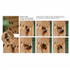 Luxus-insektenhotels Hôtel à Insectes Avec Toit En Hêtre Maja Naturel -Pas Cher Jardinoa Magasin 645b9442ecc599.55075722