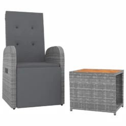VIDAXL Ensemble De Salon De Jardin 2 Pcs Gris Poly Rotin Et Acacia -Pas Cher Jardinoa Magasin 646d143d506957.85723283