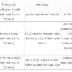 Cultivea Kit Prêt à Pousser D’herbes Aromatiques - Jardin Potager D’intérieur - (ciboulette, Basilic Persil) -Pas Cher Jardinoa Magasin 646faa64c45746.27355894