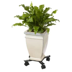 Nature Support Roulant Réglable Pour Plantes 4 Bras Métal Noir -Pas Cher Jardinoa Magasin 64798cbe8ef7f8.17677483