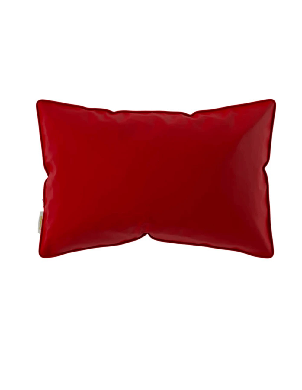 Coussin Signature 60x40cm (baigneuse) 2 Coussin Signature 60x40cm (baigneuse) – Image 2