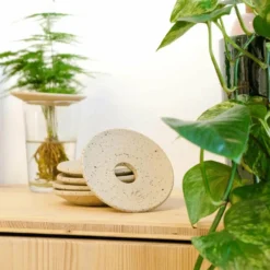 Coupelle D'hydroculture -Pas Cher Jardinoa Magasin 648761292b6a81.51148422