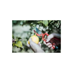 Sécateur à Main En Acier Bellota - 25mm - 350523 -Pas Cher Jardinoa Magasin 648b4e431e6c58.16868914