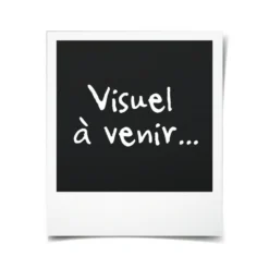 Batterie Gba 12v 3ah Bosch Professional 1600a00x79 -Pas Cher Jardinoa Magasin 6494a4dfe7eea0.66899068