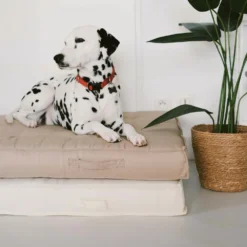 Coussin De Sol Ou D'assise Matelassé Polyester Taupe 120 X 80 X 12cm -Pas Cher Jardinoa Magasin 8b5144f20b6da04e