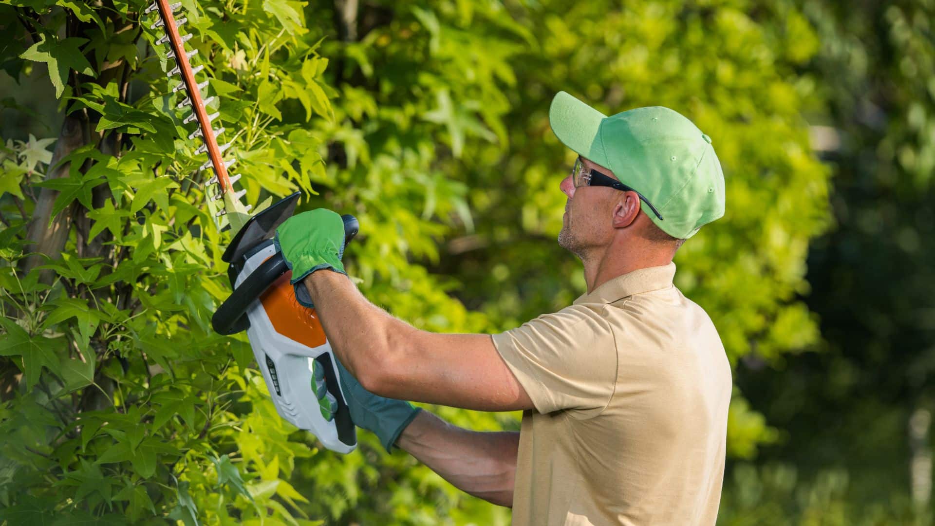 Pas Cher Jardinoa Magasin -Pas Cher Jardinoa Magasin outils electriques jardin